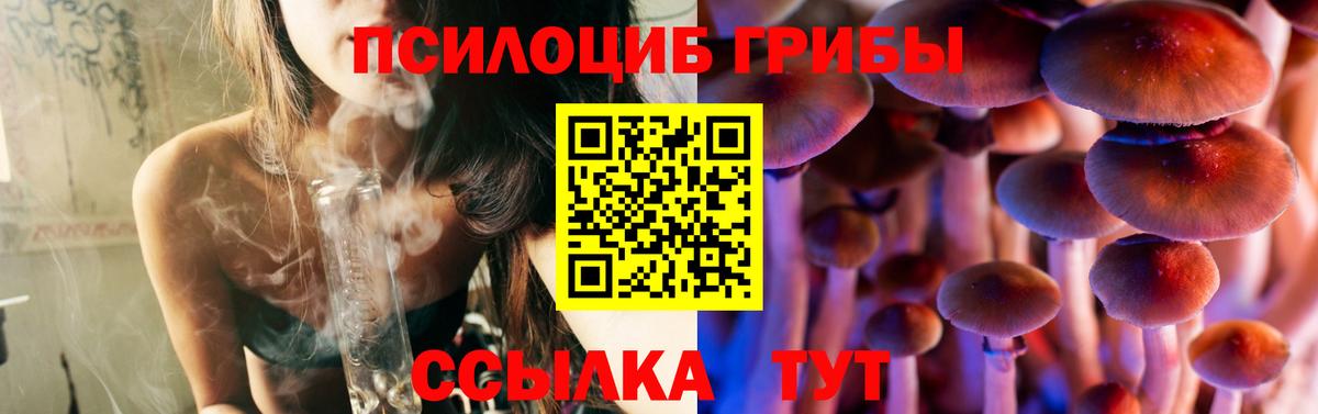 Псилоцибиновые грибы мухоморы  Вход с VPN  Коряжма  Галлюциногенные грибы Psilocybe 
